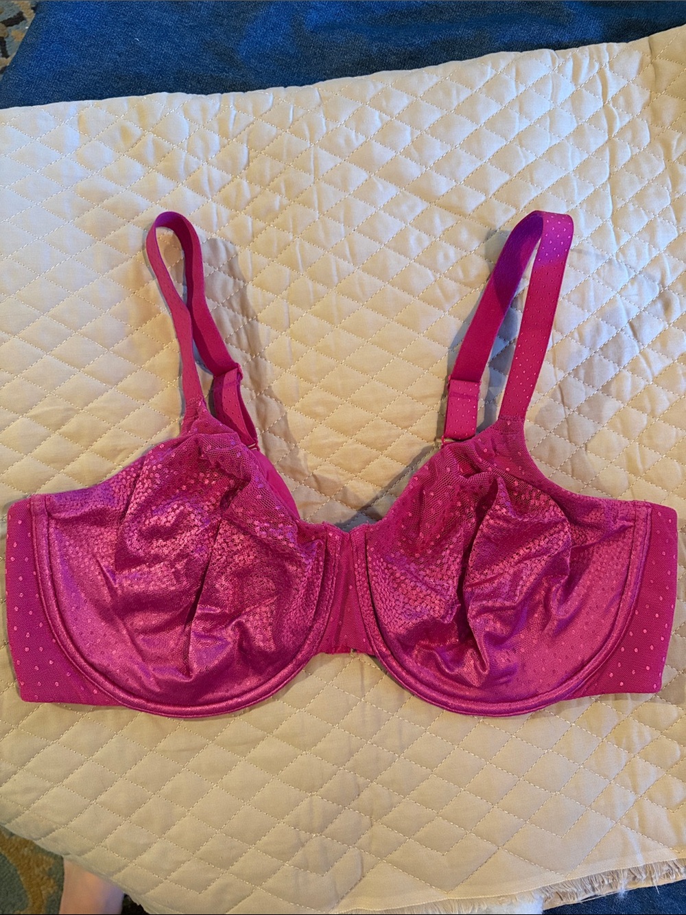 Wacoal bra 40DD